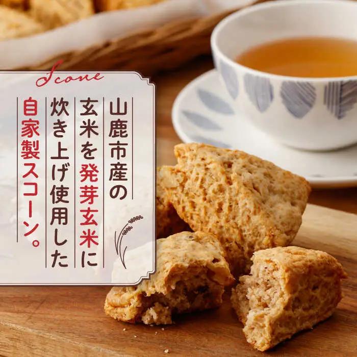 【全3回定期便】有機発芽玄米甘麹とくるみのスコーン【BANBA BON BONS】スコーン 有機発芽玄米  [ZDW002]