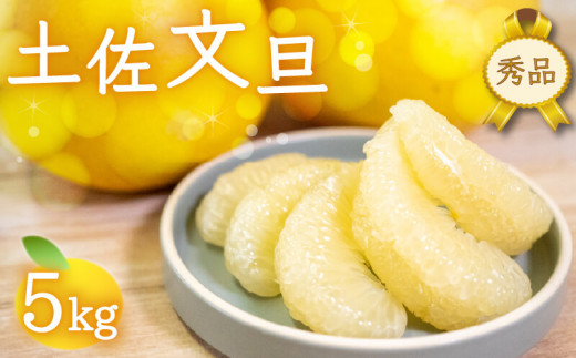 秀品 文旦 5kg 早期予約 2025年2月より順次発送 産地直送 安和 文旦 贈答 用 高知県産 柑橘 フルーツ ぶんたん 果物 みかん 高知県 須崎市 NPO017_x