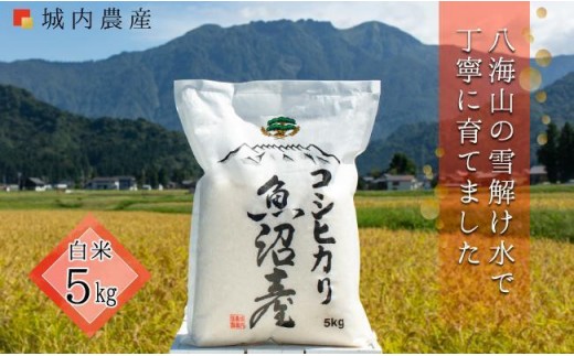 【令和８年産新米予約】 南魚沼産コシヒカリ　白米５ｋｇ【５割減農薬栽培米】 城内農産 【銘柄米 ブランド米 精米 こしひかり コシヒカリ 魚沼産 新潟米 産地直送 お米 米 こめ】【2026年9月下旬から1ヶ月以内に順次発送予定】