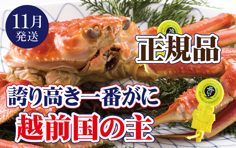 
            越前がに × 1杯（一番蟹）越前国の主！越前がにの象徴【雄 ズワイガニ ずわいがに 姿 生 ボイル 冷蔵 福井県】【11月発送分】希望日指定可 備考欄に希望日をご記入ください [e37-x006_11]
          