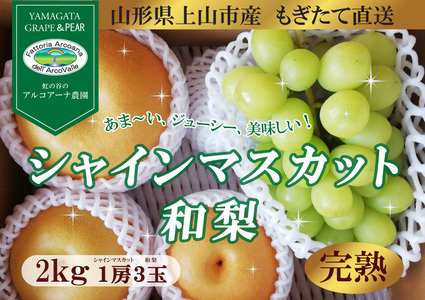 【直送便】完熟シャインマスカットと和梨セット（小）　0148-2611