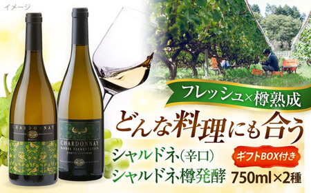 シャルドネ・シャルドネ樽発酵（白ワイン）奥出雲葡萄園 [AICS025] ワインワインワインワインワイン