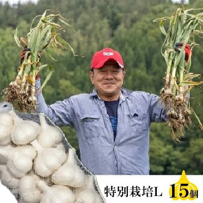 【ふるさと納税】丸美農園 田子産特別栽培にんにく（L）15個　 野菜 香味野菜 薬味 青森にんにく 食材 調理 料理 国産 スタミナ ガーリック 食欲増進 アクセント 丸焼き 丸揚げ 揚げにんにく ホイル焼き 　お届け：10月1日〜3月31日まで