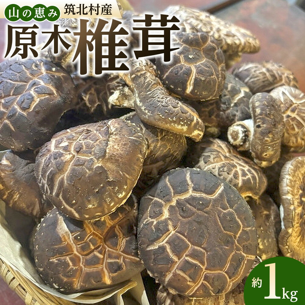 【ふるさと納税】先行予約【2027年3月上旬頃～順次発送予定】ちっくほっくふぁ～む　山の恵み　原木椎茸 1kg