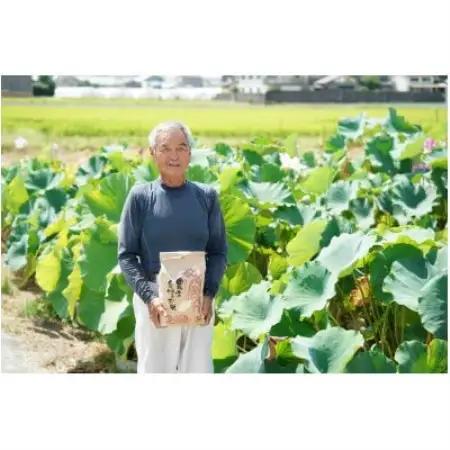 令和7年産 ひとめぼれ 5kg 京都府久御山町 大人気のお米(精米)をお届け【1733694】