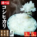 【ふるさと納税】【数量限定】令和6年産 福井県産コシヒカリ みやま米 3kg 5kg 【天然の山水だけで育てたお米】/ もっちり 甘い 米 こしひかり 国産 福井県 福井市 無洗米 玄米 白米 精米[A-168003]