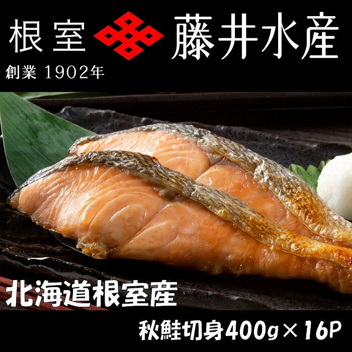【ふるさと納税】＜鮭匠ふじい＞天然鮭切身(甘塩)400g(約6切)×16P F-42003