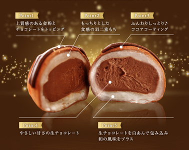 生チョコ大福20個入～ギフトボックスタイプ～ 和菓子 洋菓子_OS237-0001-04
