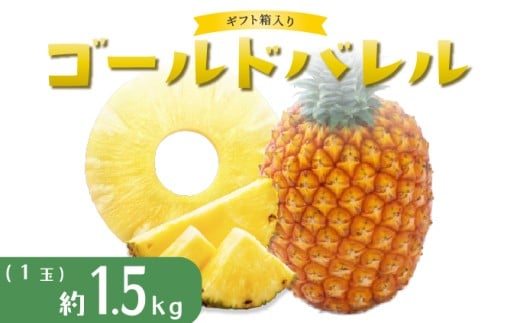パイナップル ゴールドバレル 1玉 ハウス栽培 ギフト箱入 パイン 果物 フルーツ 沖縄 西表島【TOK:iふぁーむ】配送不可：離島028-a001_2026