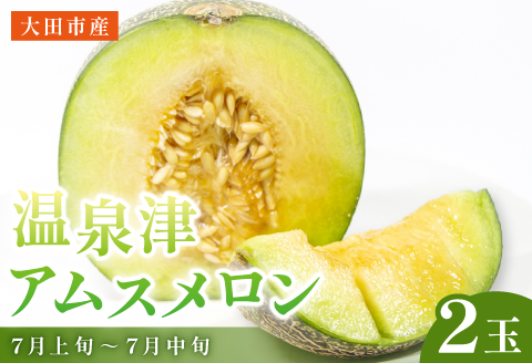 【春作】温泉津アムスメロン×２玉（配達指定日不可）【アムスメロン メロン 2玉 青肉 期間限定 季節限定 果物 フルーツ くだもの 贅沢 ご褒美 デザート 先行予約】