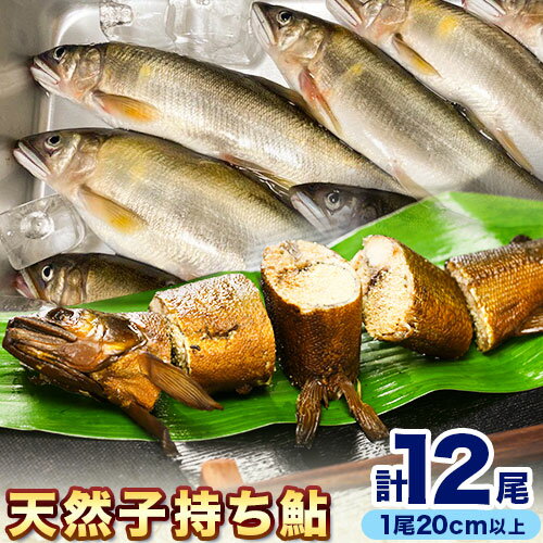 【ふるさと納税】日高川椿山ダム上流 天然 子持ち鮎 20cm以上 4尾×3パック 計12尾 川漁師なおべ《10月下旬-1月上旬頃出荷》 和歌山県 日高川町 あゆ 鮎 天然鮎 魚