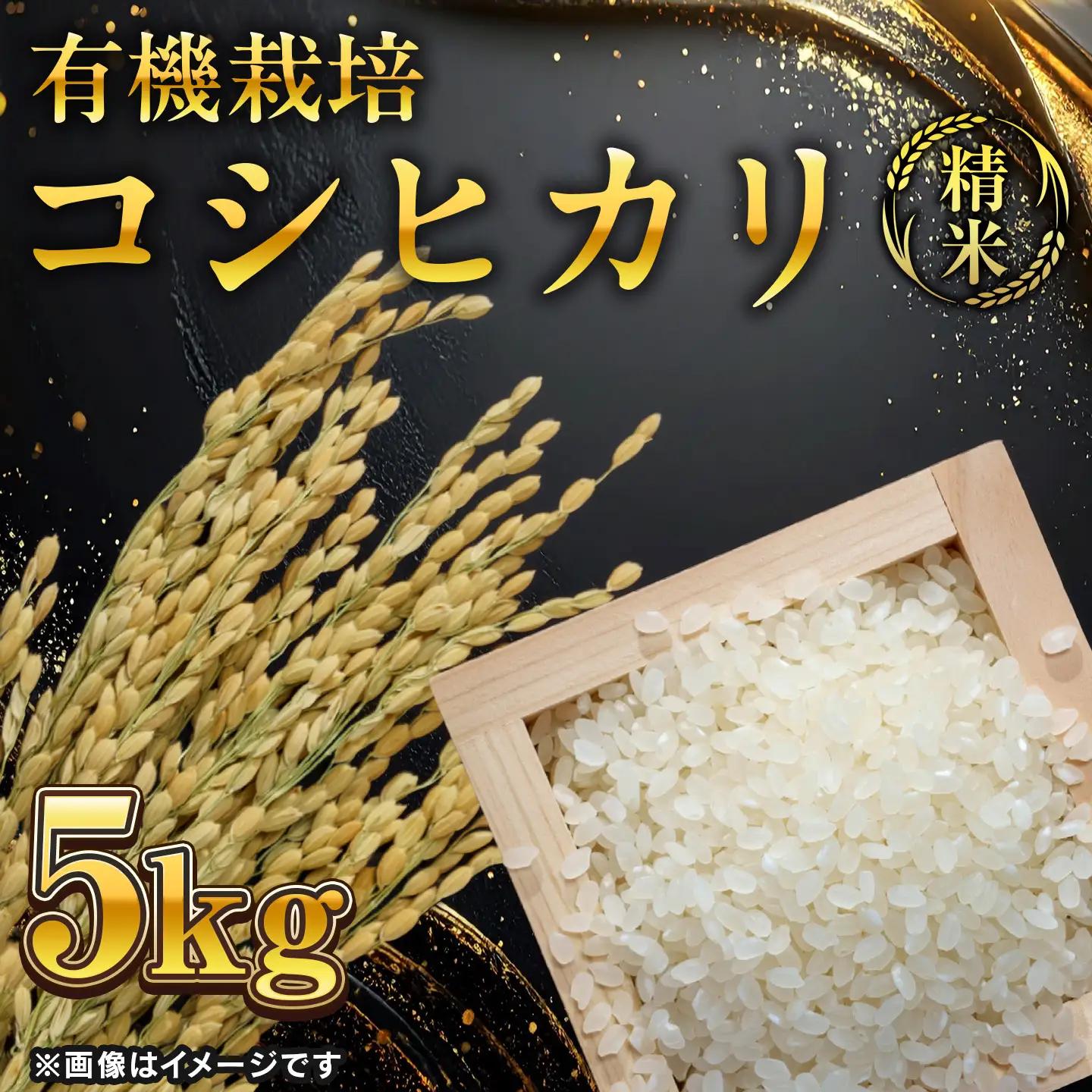コシヒカリ 5㎏ 精米 有機コシヒカリ