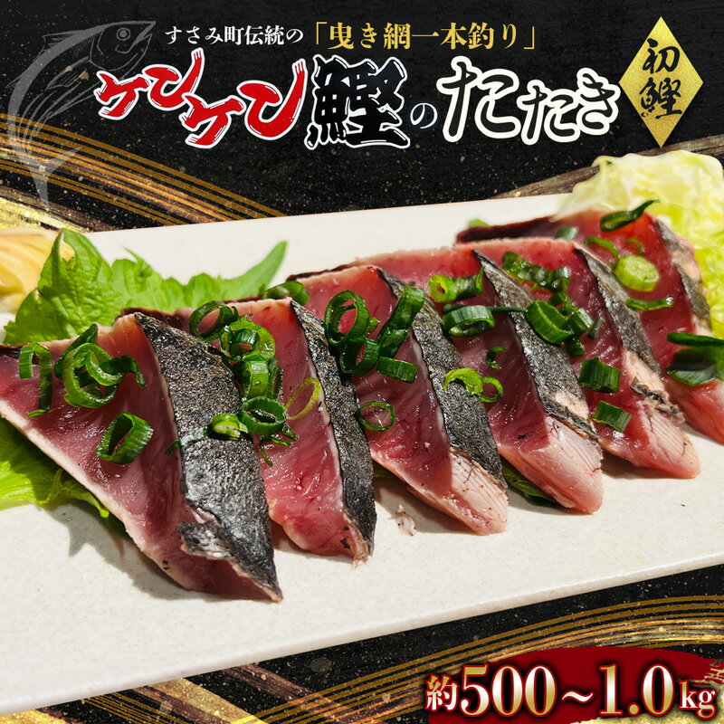 【ふるさと納税】 カツオ 今年の初鰹!! すさみケンケン鰹のたたき 【選べる容量】500g～600g 1kg / タタキ 節 天然 刺身 お造り おつまみ おかず 丼 真空 冷凍 魚介 新鮮 海鮮 特産品 ケンケン漁 伝統漁法 贈答 プレゼント 家庭用 初カツオ