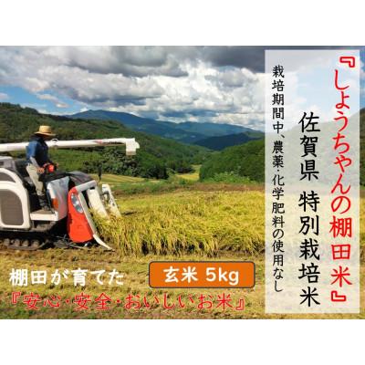 ふるさと納税 多久市 令和7年産『しょうちゃんの棚田米』　　【玄米5kg】栽培期間中農薬不使用 れんげ緑肥育ちの棚田米