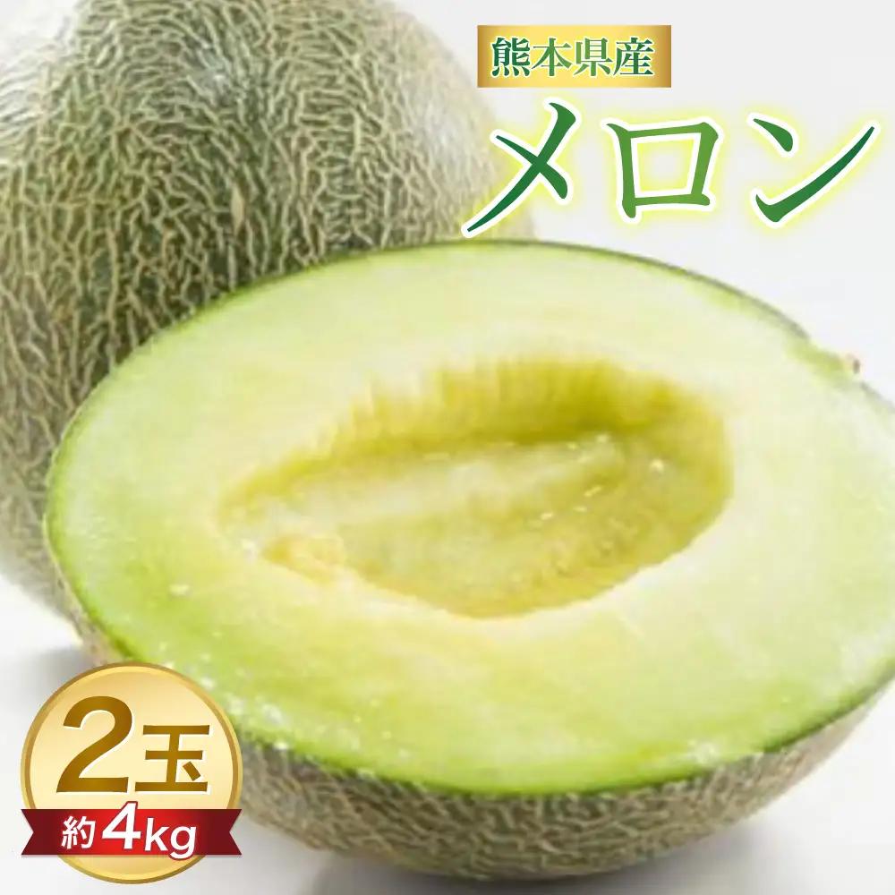 メロン 【先行予約】熊本県 八代市産 肥後グリーン 約4kg （2玉入） 【2027年5月中旬より順次発送】 メロン