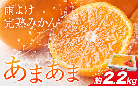 雨よけ完熟みかん「あまあま」約2.2kg 正木久之《12月下旬-1月中旬》【配送不可地域あり】※離島不可