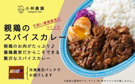 【全2回定期便】親鶏のスパイスカレー 5個（辛口）《厚真町》【テンアール株式会社】 カレー スパイスカレー 辛口 鶏 鶏肉 平飼い 冷凍配送 北海道[AXAN085]