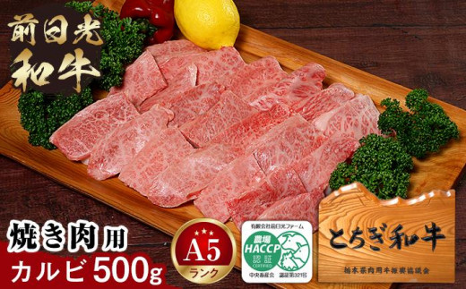 とちぎ和牛・前日光和牛（焼き肉用カルビ500g）｜肉 お肉 和牛 最高級 A5ランク A5等級 焼肉