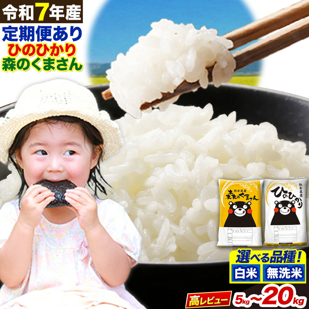 定期便 あり 無洗米 も選べる ひのひかり 10kg 5kg×2袋