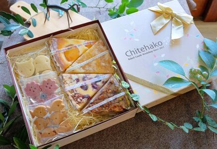 タルト4種・クッキー3種詰め合わせセット （レモンココナッツタルト、ブルーベリークリームチーズタルト、くるみクランベリータルト、季節タルト、3種クッキー） U-113