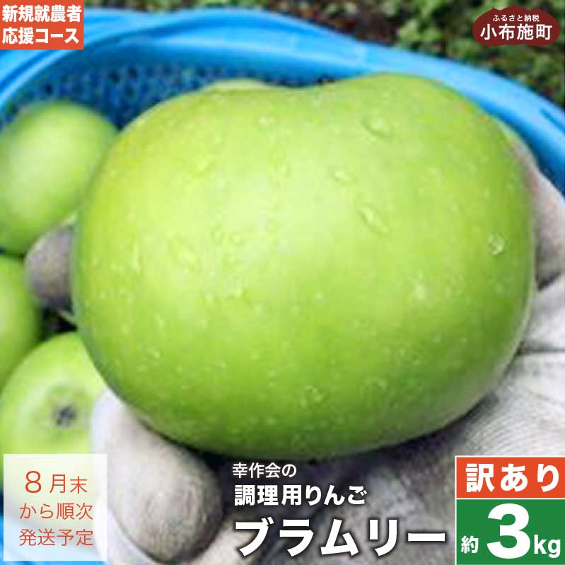 【ふるさと納税】【訳あり】 ブラムリー 約3kg ［新規就農者応援コース 幸作会］リンゴ りんご 林檎 フルーツ クッキング アップル 果物 産地直送 調理 アップルパイ 菓子 傷 キズ 不揃い 規格外 家庭用 数量限定 長野県産 令和7年産 【2025年8月末から順次発送】