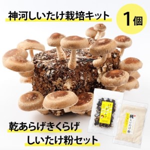 神河しいたけ栽培キット(しいたけ菌床)1個と乾あらげきくらげ・しいたけ粉セット　※10月～4月発送【1355231】