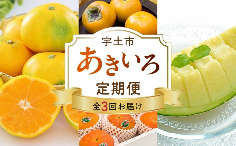 
                  T007-akiiro　【宇土市】あきいろ定期便
                