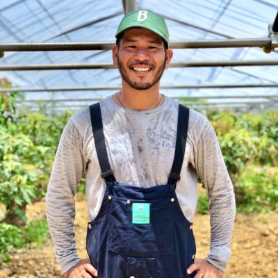 【2026年7月上旬から順次発送・贈答用】島袋さんの完熟アップルマンゴー 1kg(2～3玉)【配送不可地域：離島】