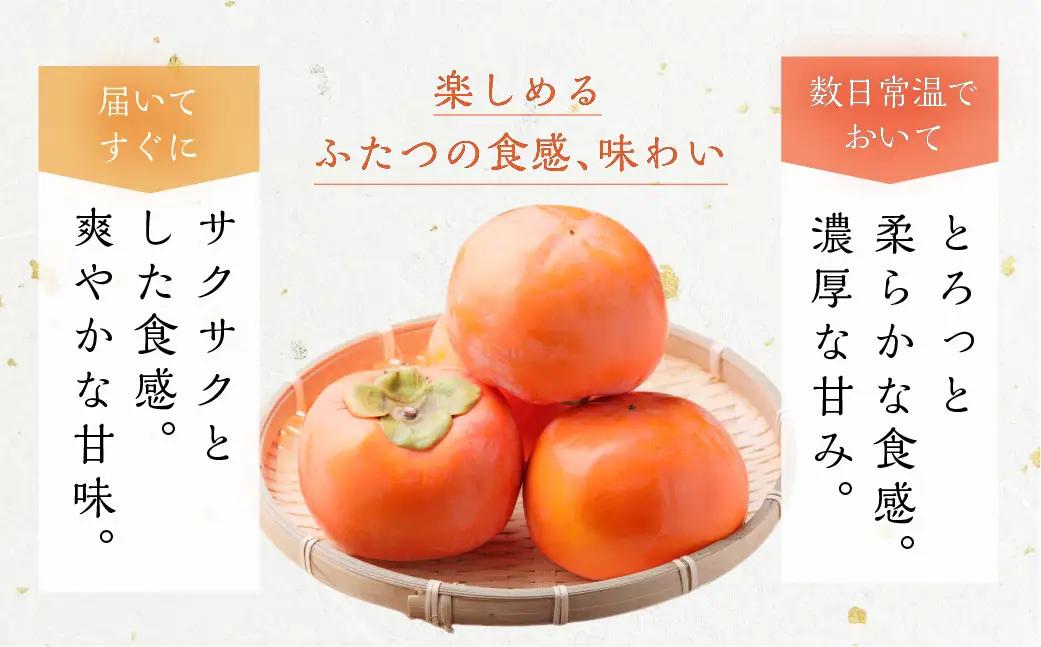 [先行予約]令和8年産 【訳あり】富有柿 3L～4L サイズ 約3kg 加藤果樹園 [mt1691] ｜家庭用 ご自宅用 わけあり ワケアリ かき 富有柿 ふゆうがき フルーツ 令和7年 カキ 果物 