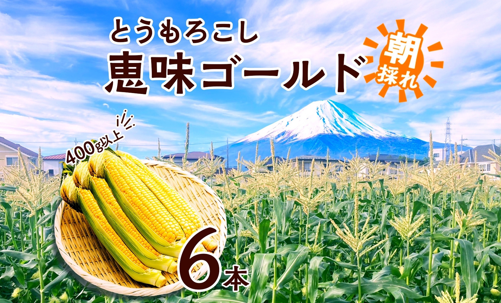 
            とうもろこし 恵味 ゴールド 400g以上 × 6本 高糖度 トウモロコシ スイートコーン 玉蜀黍 イエローコーン 黄 夏野菜 甘い ジューシー 野菜 おやつ 旬 産地直送 湖南野菜出荷組合 山梨県 富士河口湖町
          