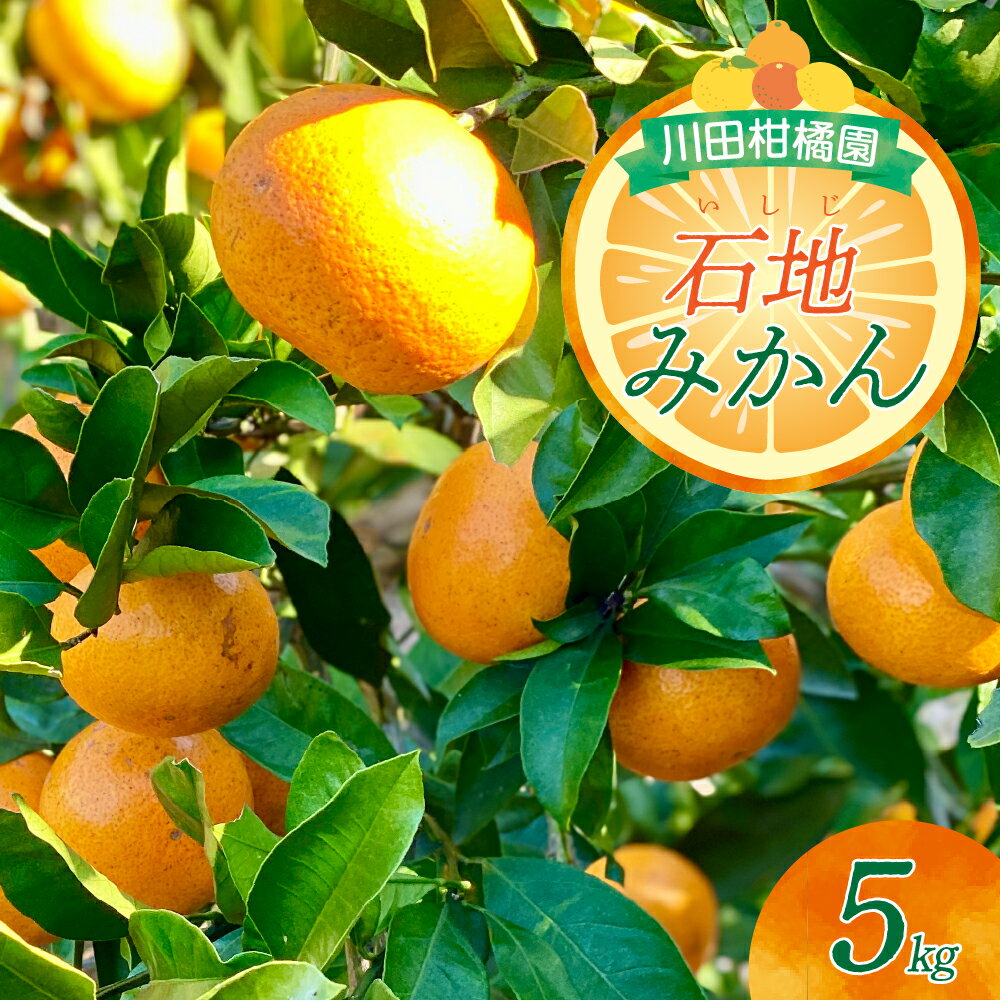 【ふるさと納税】川田柑橘園 呉市大長産 「 いしじみかん 」5kg / 石地みかん 中生みかん みかん ミカン 蜜柑 柑橘 果物 フルーツ 濃厚 甘い コク 産地直送 国産 常温配送 送料無料 広島県 呉市