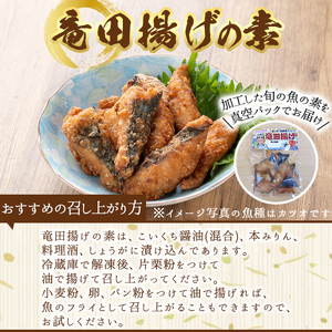 No.031 海産物セット 天然鯛！タイと旬の魚の干物・旬の魚の竜田揚げの素セット(干物6尾以上・竜田揚げの素1袋・計約3.0kg)【吹上町漁協】