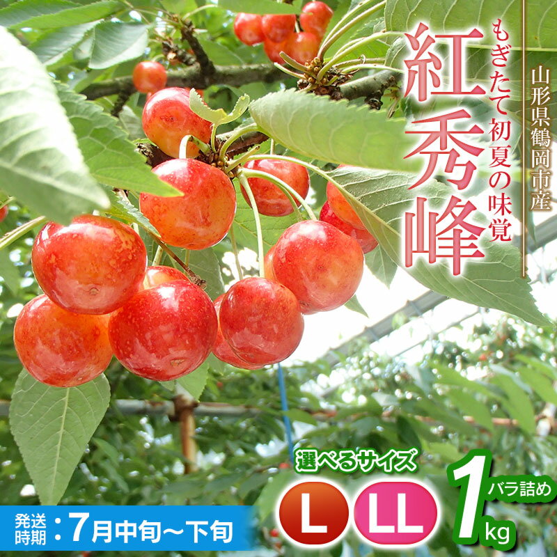 【ふるさと納税】【令和8年産先行予約】紅秀峰 バラ詰め 1kg 【選べるサイズ：Lサイズ〜LLサイズ】さくらんぼ 丸忠農園 | 山形県 鶴岡市 返礼品 東北 フルーツ 果物 くだもの お取り寄せ ご当地 サクランボ 特産品 2025年産