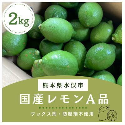 ふるさと納税 水俣市 国産レモン　A品2kg(県認証特別栽培)