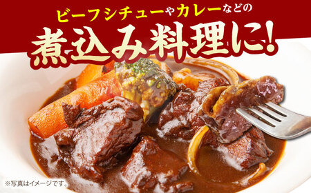 【訳あり】 佐賀牛端肉 ブロック（ 煮込み用 ）500g 【山下牛舎】HAD161 佐賀牛 カレー