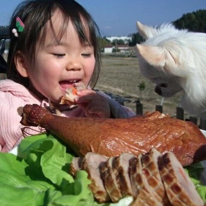 《数量限定☆先行受付中☆》クリスマスチキン 1羽 久井高原のスモークチキン小屋が作る無添加スモークチキン クリスマス限定 骨付き足 もも 胸肉 ササミ 鶏の燻製 1羽丸ごと 024002