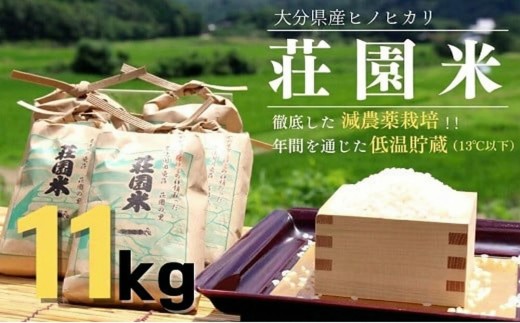 【玄米】米 11kg（11kg×1） 令和7年度産 荘園米　（精米後10kg） お米 精米 ヒノヒカリ ひのひかり