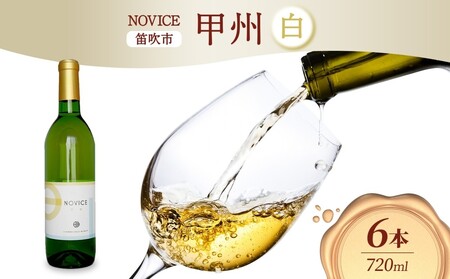 白ワイン NOVICEノヴィス 甲州 720ml×6本 フルボトル 日川中央葡萄酒 山梨県 笛吹市 177-7-30
