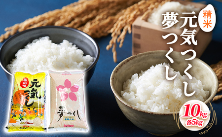 米 10kg 食べ比べ セット 元気つくし 5kg 夢つくし 5kg 米