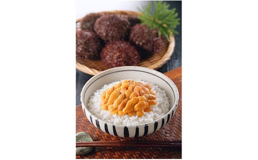 【ウニとイクラの豪華競演！】生うに折60g&いくら醤油漬90g ふるさと納税 うに いくら F4F-8822