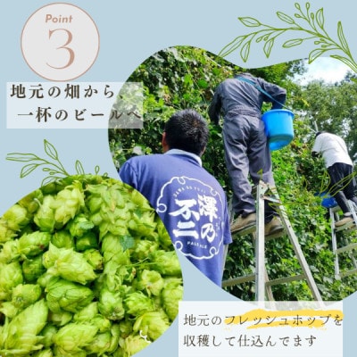 霞ヶ浦コーヒースタウト 茨城県産クラフトビール 330ml×3本【配送不可地域：離島】【1608539】