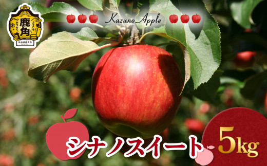 《 先行予約 》鹿角 りんご「シナノスイート」5kg（14～18玉前後）【佐藤秀果園】●2026年10月下旬発送開始 リンゴ 林檎 贈答用 果汁 完熟 旬 県産りんご お中元 お歳暮 贈り物 お見舞い グルメ ギフト 故郷 秋田 あきた 鹿角市 鹿角 送料無料