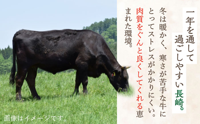 長崎和牛 特選 切り落とし 600g /長崎県産和牛 牛肉 国産牛すき焼き 炒めもの 【川下精肉店】 [OAA016]
