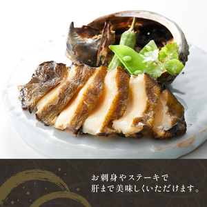 天然 活エゾアワビ 1kg 冷蔵 三陸 蝦夷アワビ 活アワビ 活あわび エゾ鮑