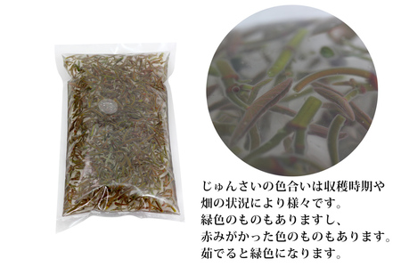 特選生じゅんさい3.5kg ゆずタレ6個 《冷蔵》（2024年5月中旬頃〜7月下旬順次発送予定） 令和6年産 2024年産 先行受付  秋田県産 三種町産