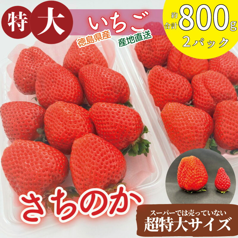 【ふるさと納税】 いちご さちのか 大粒 2パック ( 1パック 約400g前後 ) 計約800g前後 ビッグサイズ 特選 朝採れ 産地直送 苺 イチゴ フルーツ 果物 スイーツ ケーキ パフェ タルト 限定出荷 ブランド 大粒 フレッシュ 甘い おいしい 徳島 小松島 【2026年1月より順次発送】