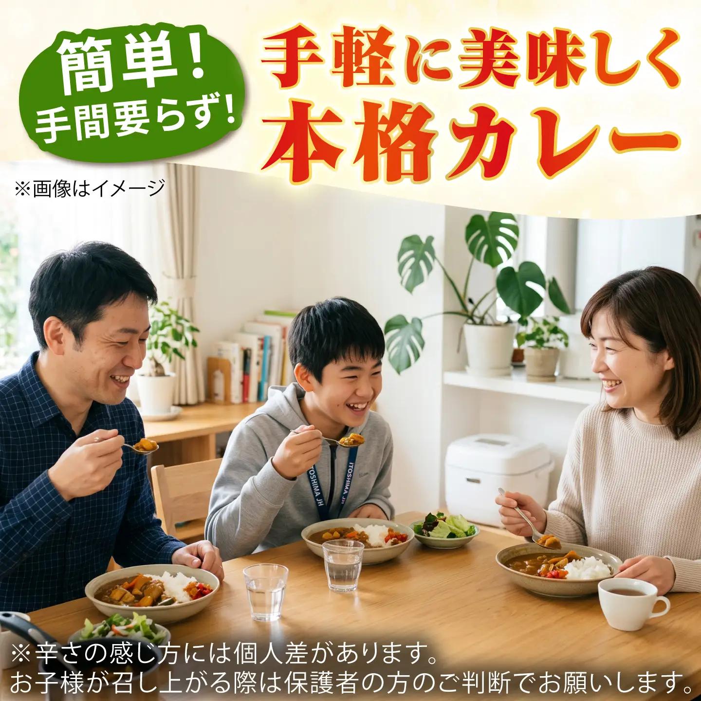カレー 糸島どりもも肉（24食入） [ACD010] カレー チキンカレー レトルトカレー 常温 