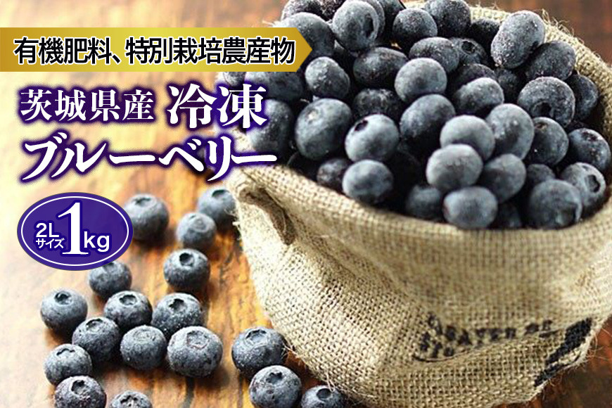 
冷凍ブルーベリー 1kg ブルーベリー 冷凍 冷凍ブルーベリー フルーツ 果物 冷凍フルーツ 冷凍果物 スムージー ジュース ビタミンE アントシアニン ジャム 目にいい 健康 美容 食物繊維 瞳の健康 ギフト 贈り物 茨城県産 人気 プレゼント 9-I
