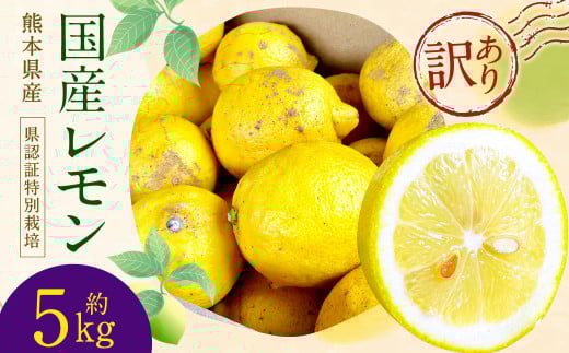 国産 レモン 訳あり 5kg （県認証特別栽培） 国産 柑橘 果物 フルーツ【2026年6月上旬迄発送予定】