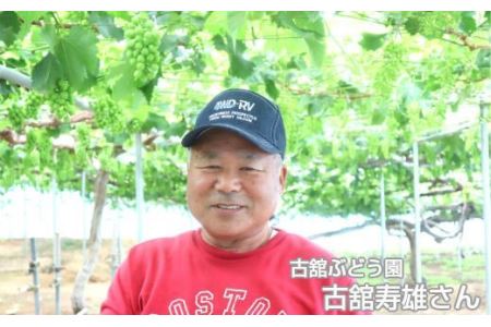 完熟スチューベン100％ おおはさま ぶどうジュース 1L×2本セット 【708】